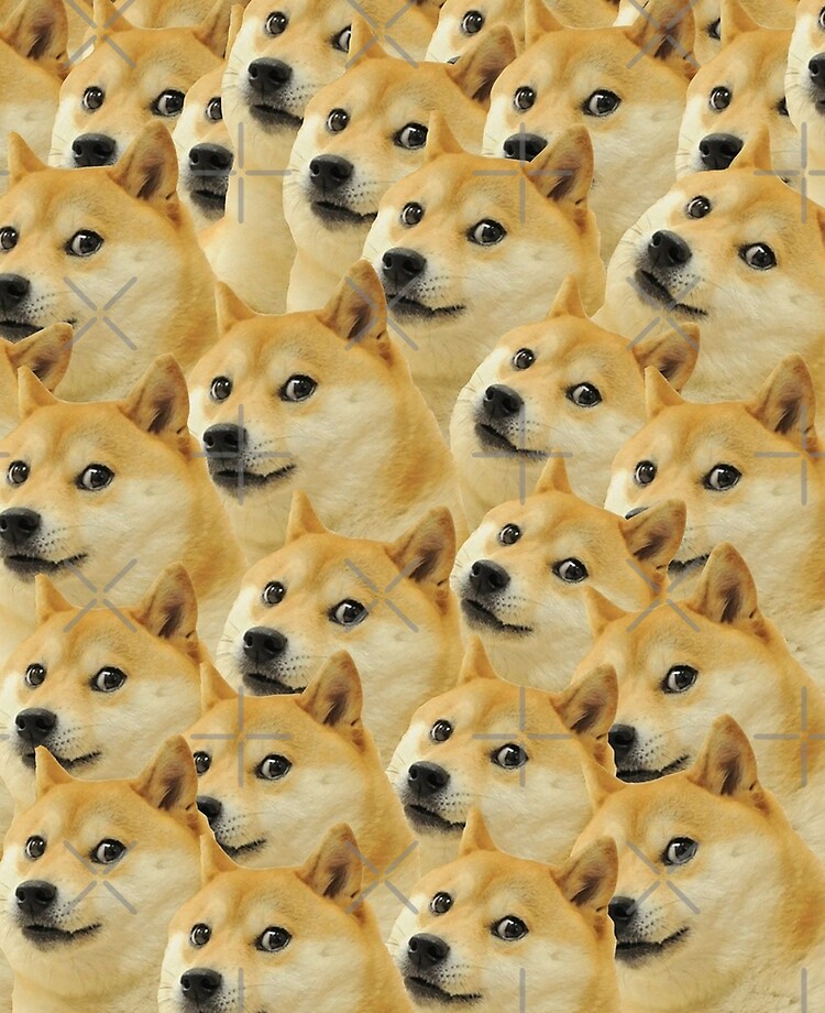 Doge Wow Pattern Shiba Inu Doggo Dog Meme Montage HD High Quality