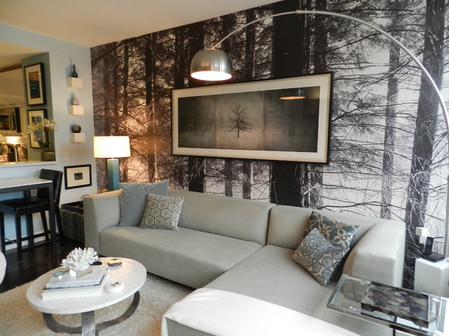 My Houzz Bachelor S Nyc Pad Contemporary Living Room New York
