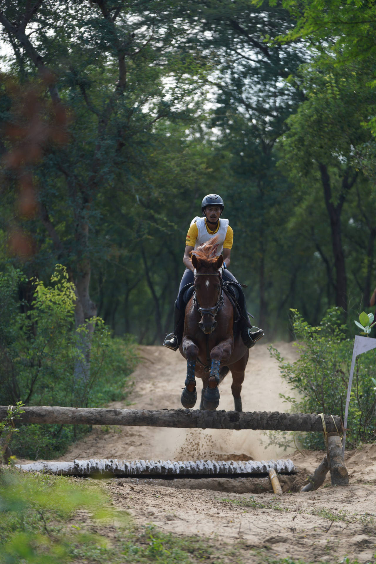 Equestrian Wallpaper