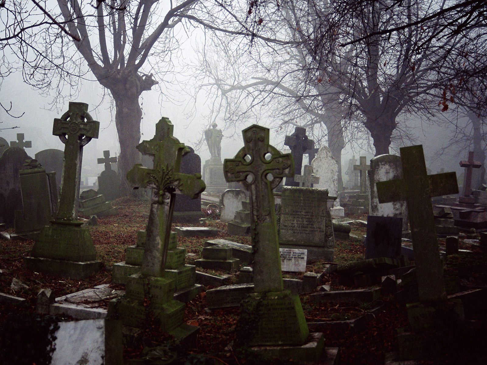 Cemetery Creepy Graveyard