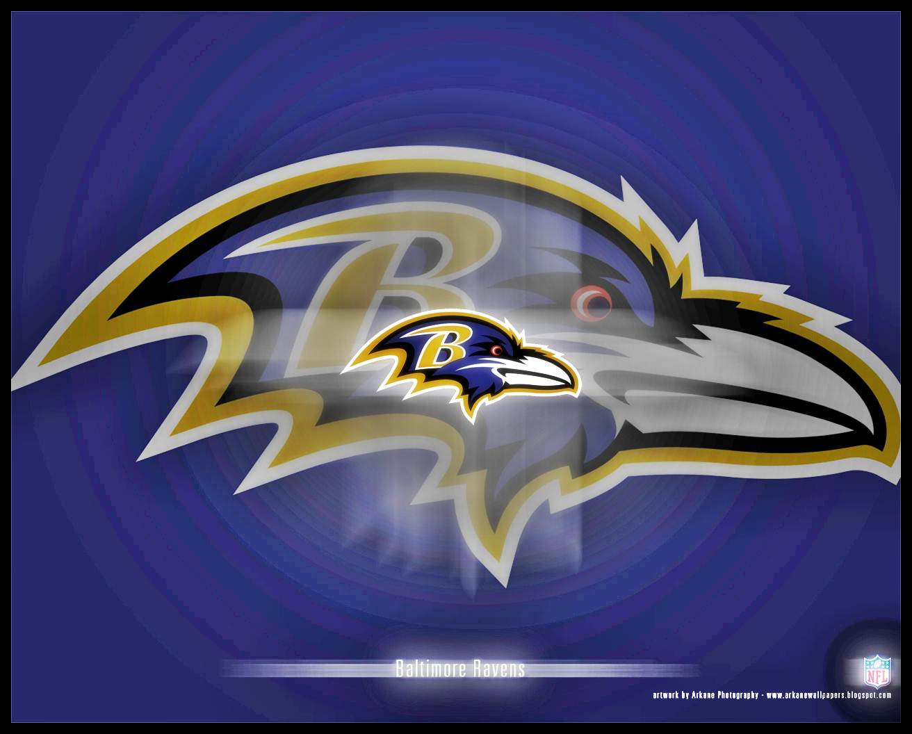 44+] Ravens and Orioles Wallpaper on WallpaperSafari  Baltimore ravens,  Beast of the east, Baltimore ravens logo