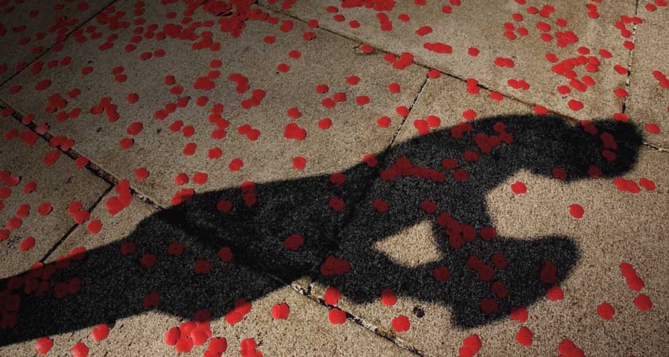 The Shadow Of A Soldier Is Seen As Poppies Lie On Floor After