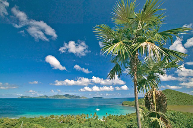 Tara Tortola HD Walls Find Wallpaper