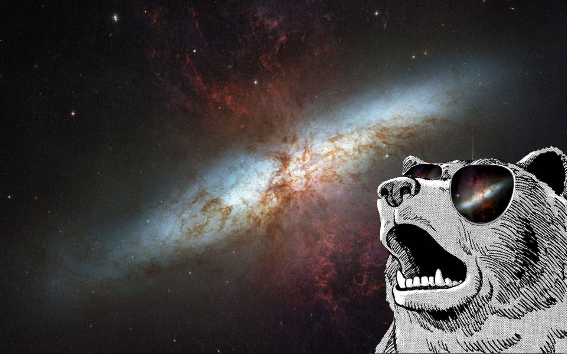 Dank Meme Wallpaper