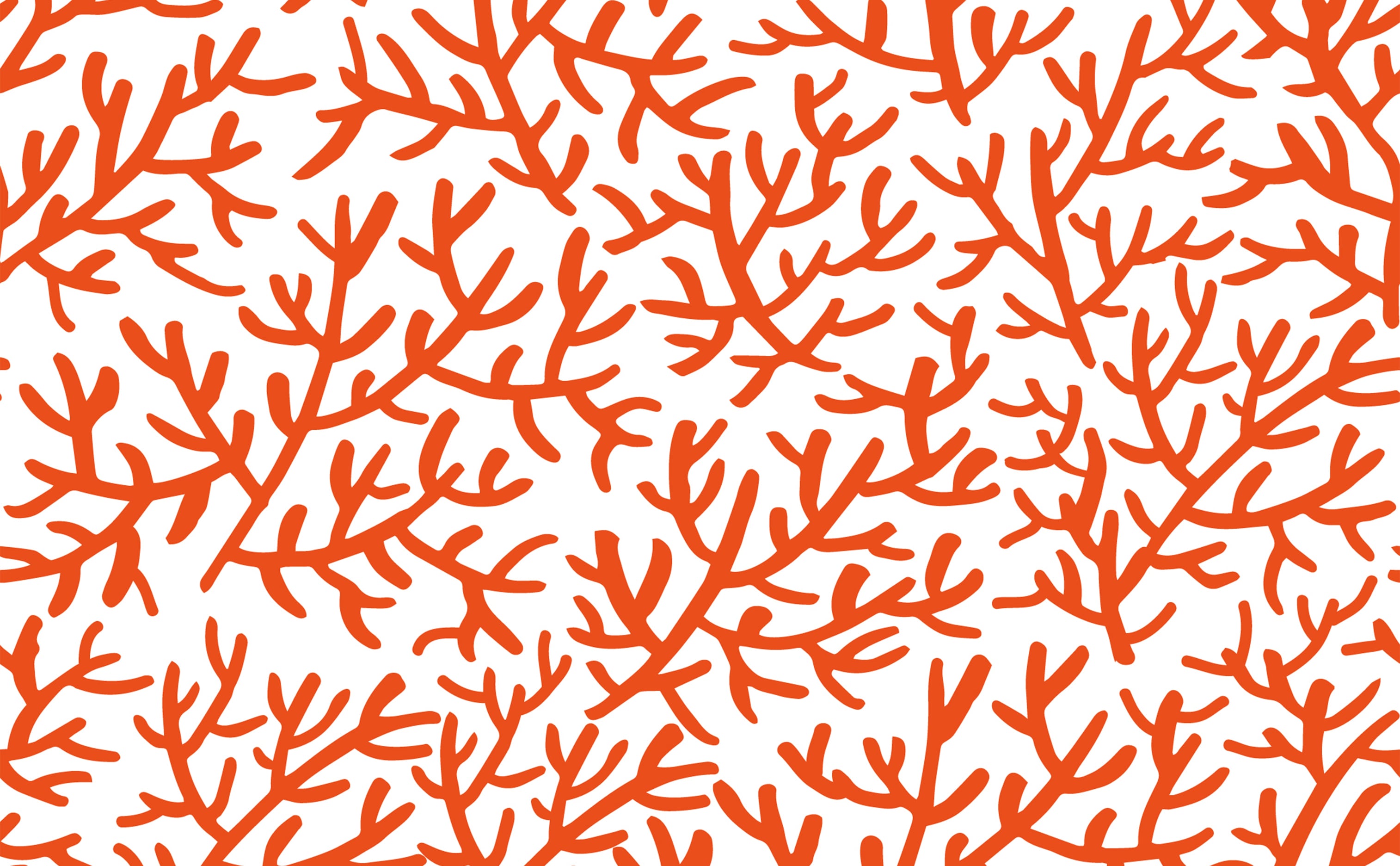 Staghorn Reef Coral Wallpaper For Walls
