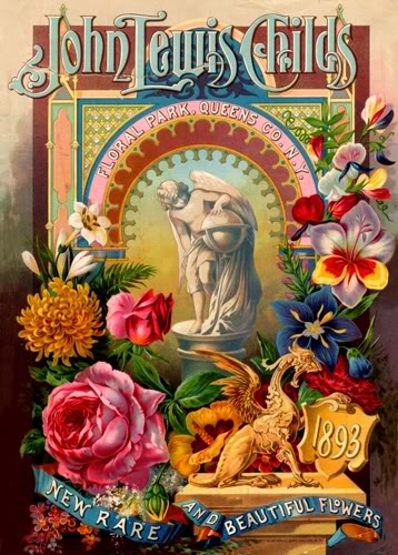 Details About Vintage Flower Postcard Floral Clip Art Photo Dvd