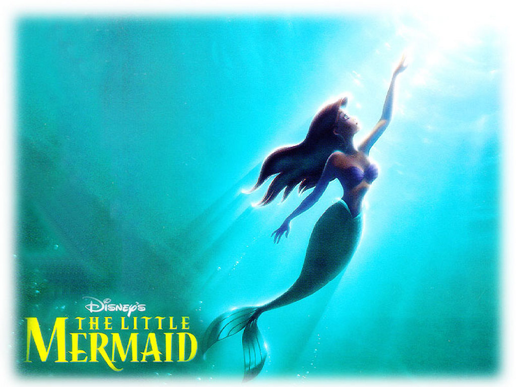Ariel Image HD Wallpaper And Background Photos