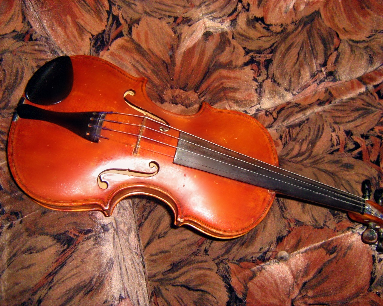 Beautiful Violin Wallpaper