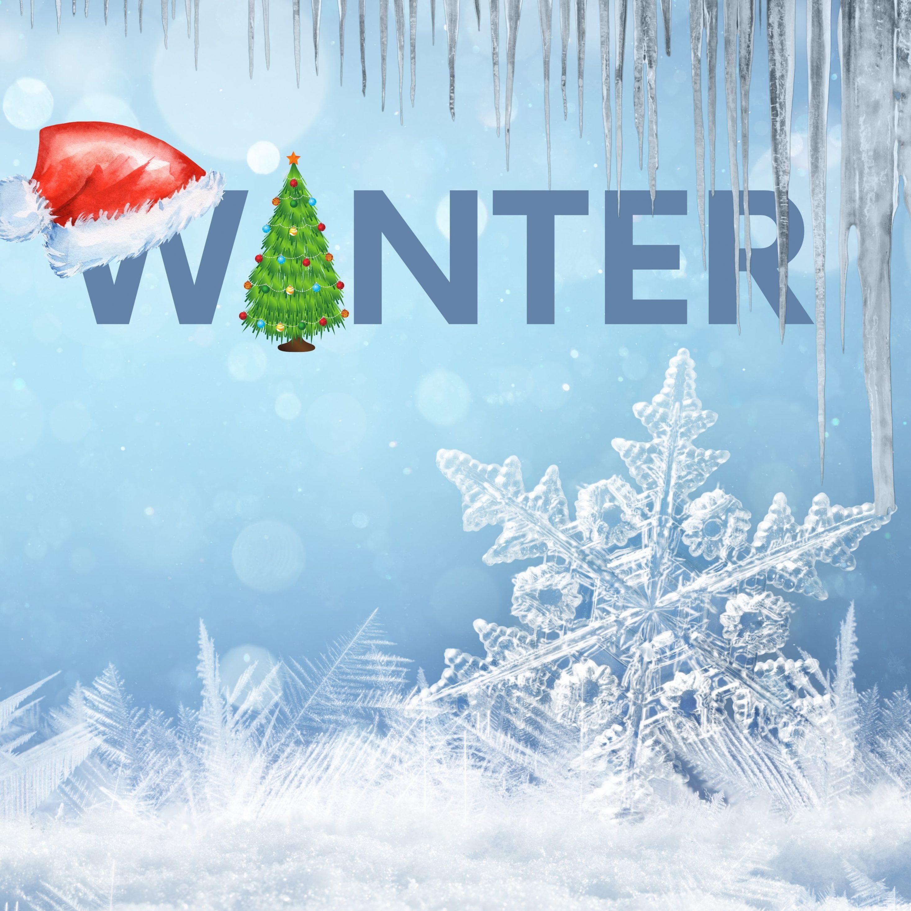 Winter Snow Christmas Tree iPad Wallpaper HD 4k