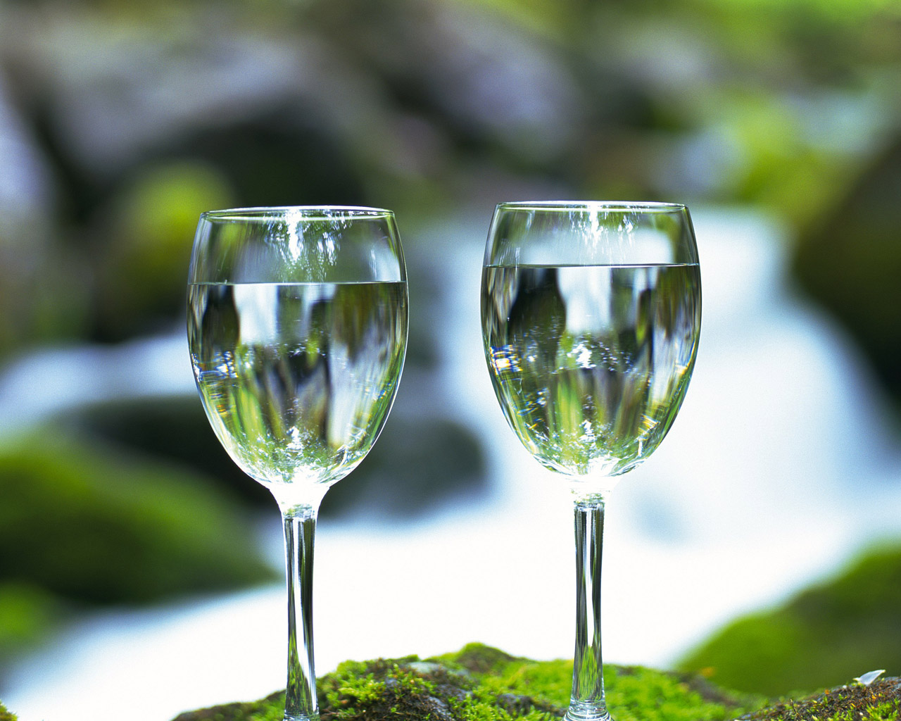 Two Wine Glass Nature Wallpapers   HD Wallpapers 35969 1280x1024