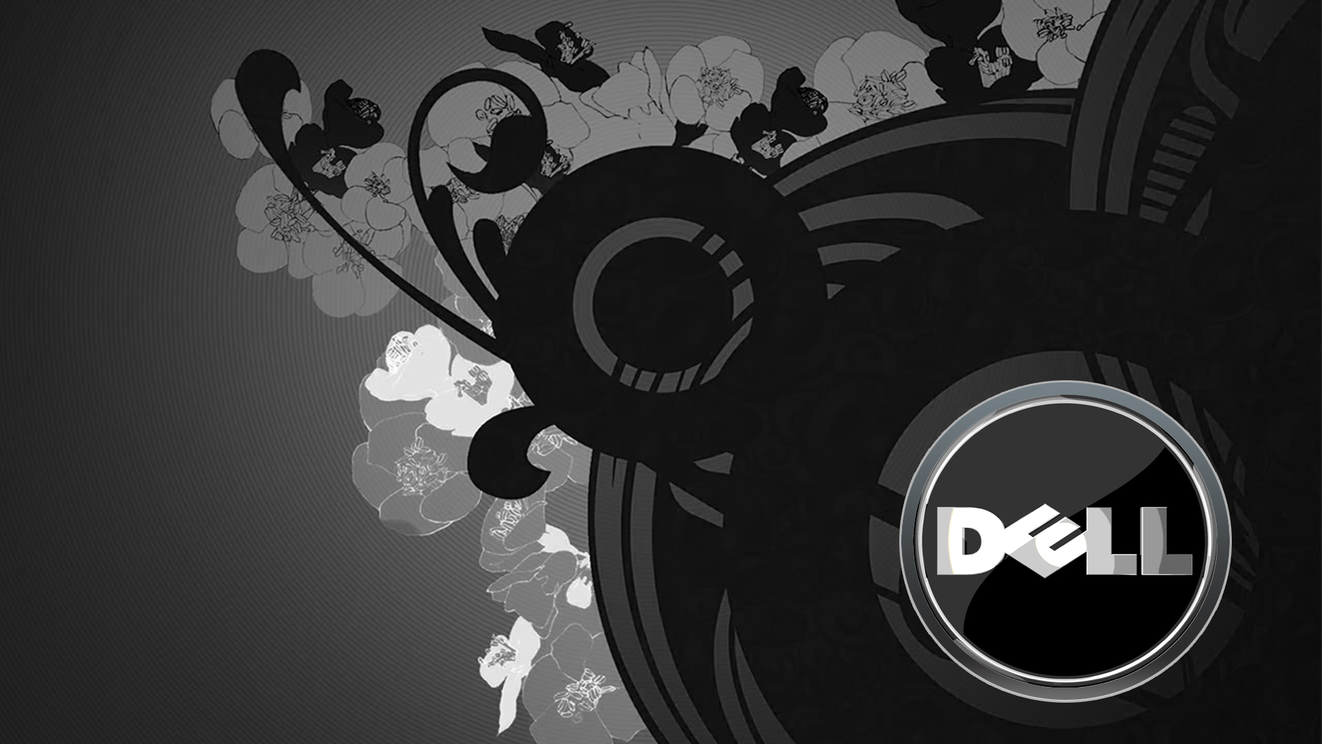 HD Dell Background Wallpaper Image For Windows
