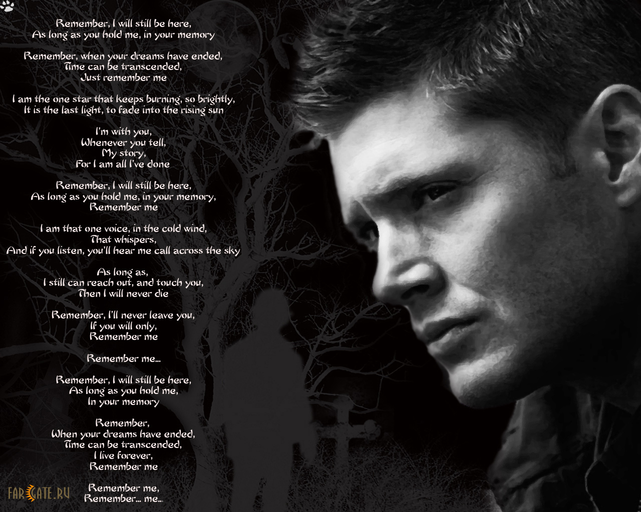 Dean Winchester   Supernatural Wallpaper 6375509