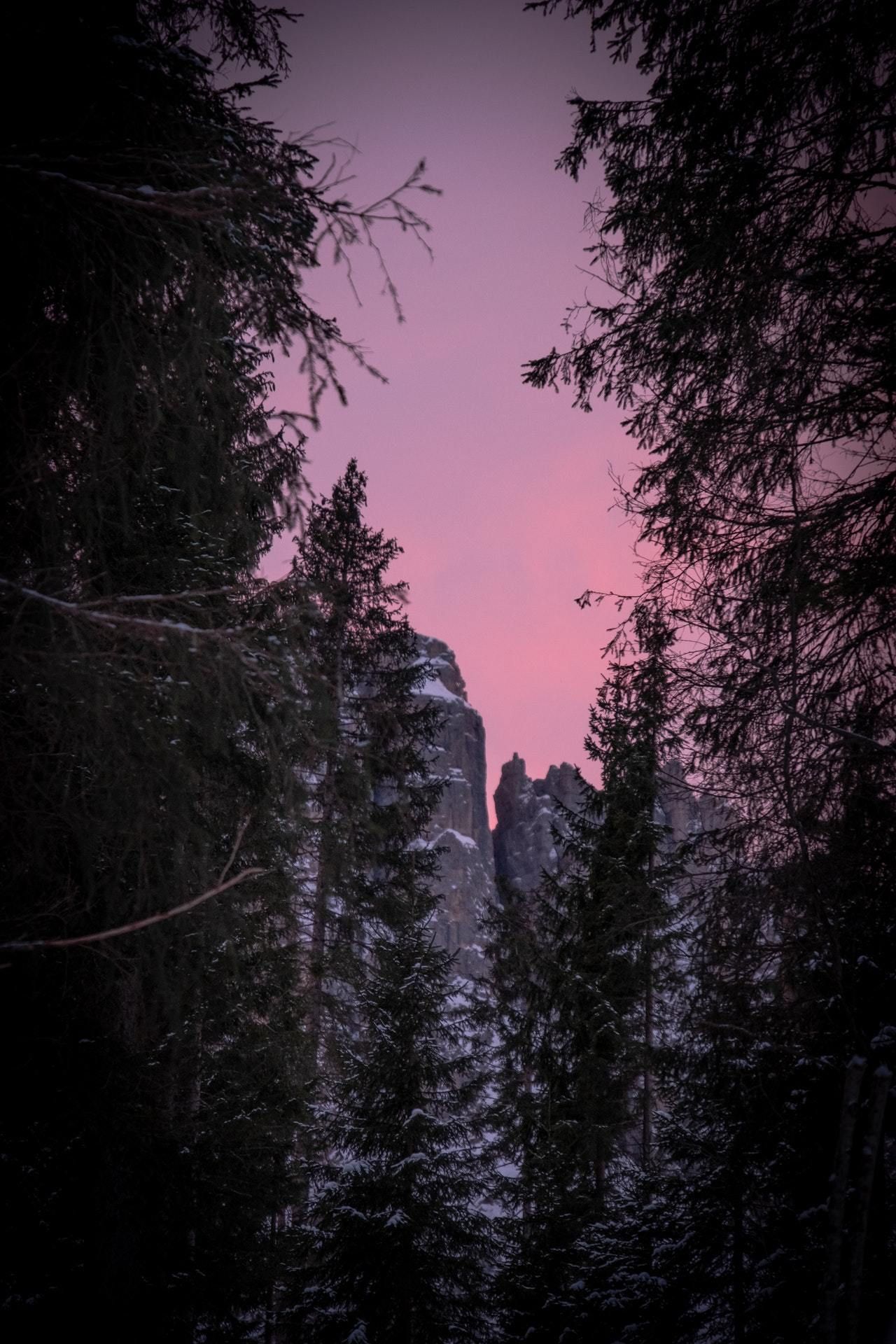 Aesthetic Photography Wallpaper