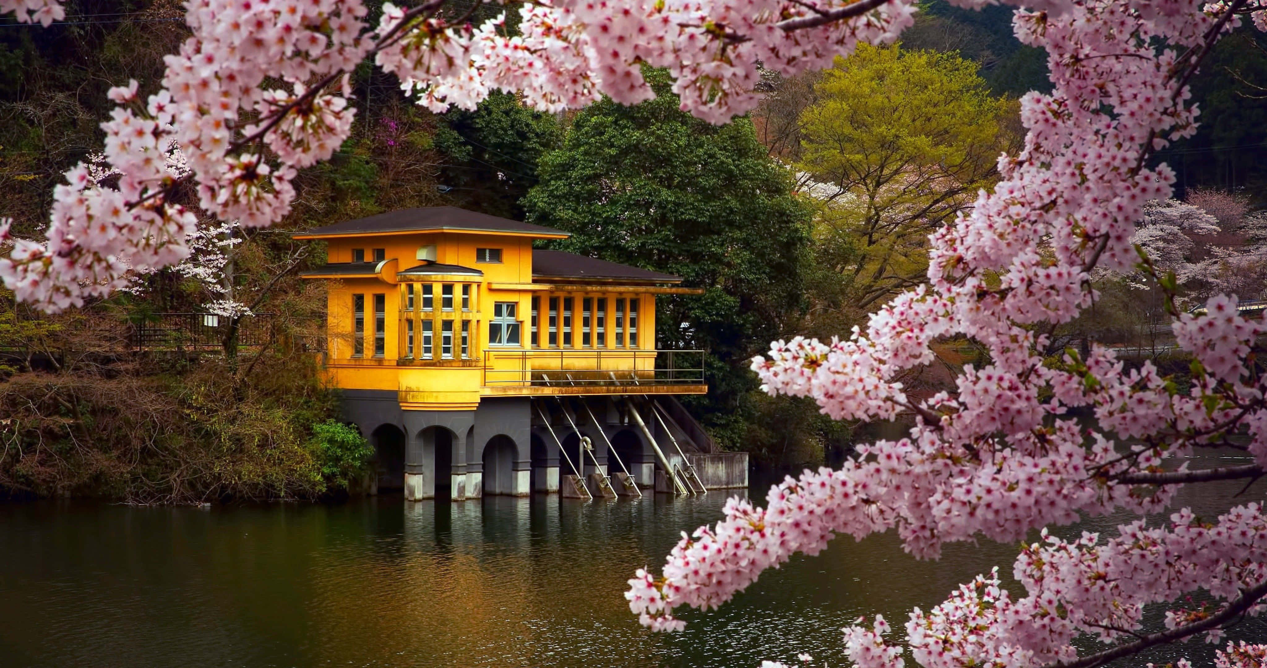 Japanese Culture Desktop Wallpaper