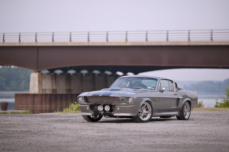 Ford Mustang Shelby Gt500 Fastback Eleanor