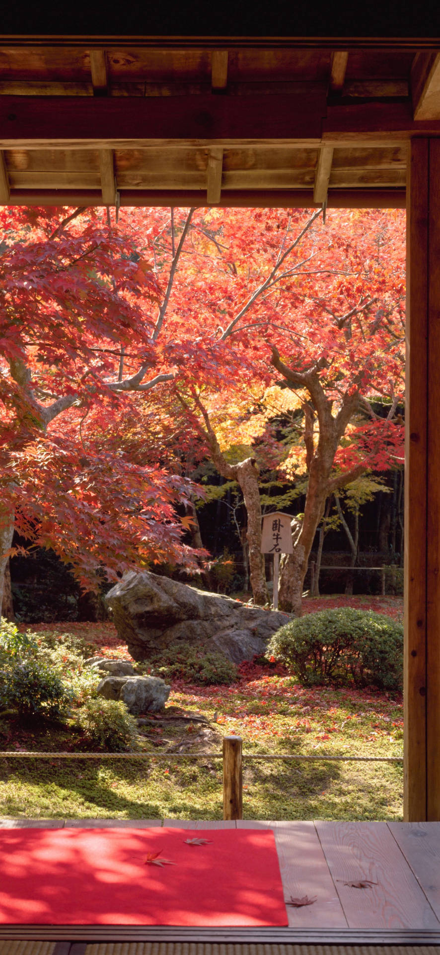 Japanese Aesthetic iPhone Wallpaper