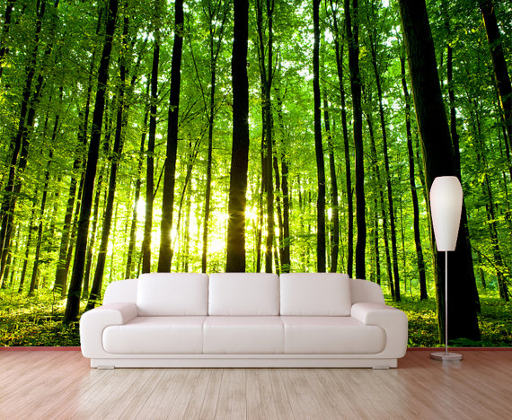 Green Forest Trees Mural Wallpaper Repositionable Peel Stick Wall