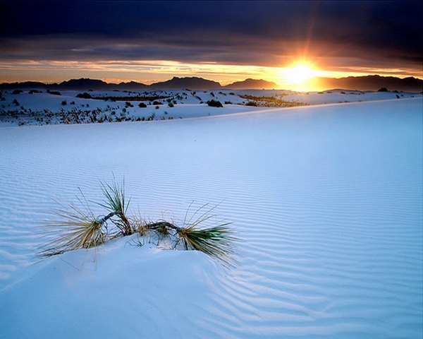 Monument New Mexico White Sands National Wallpaper