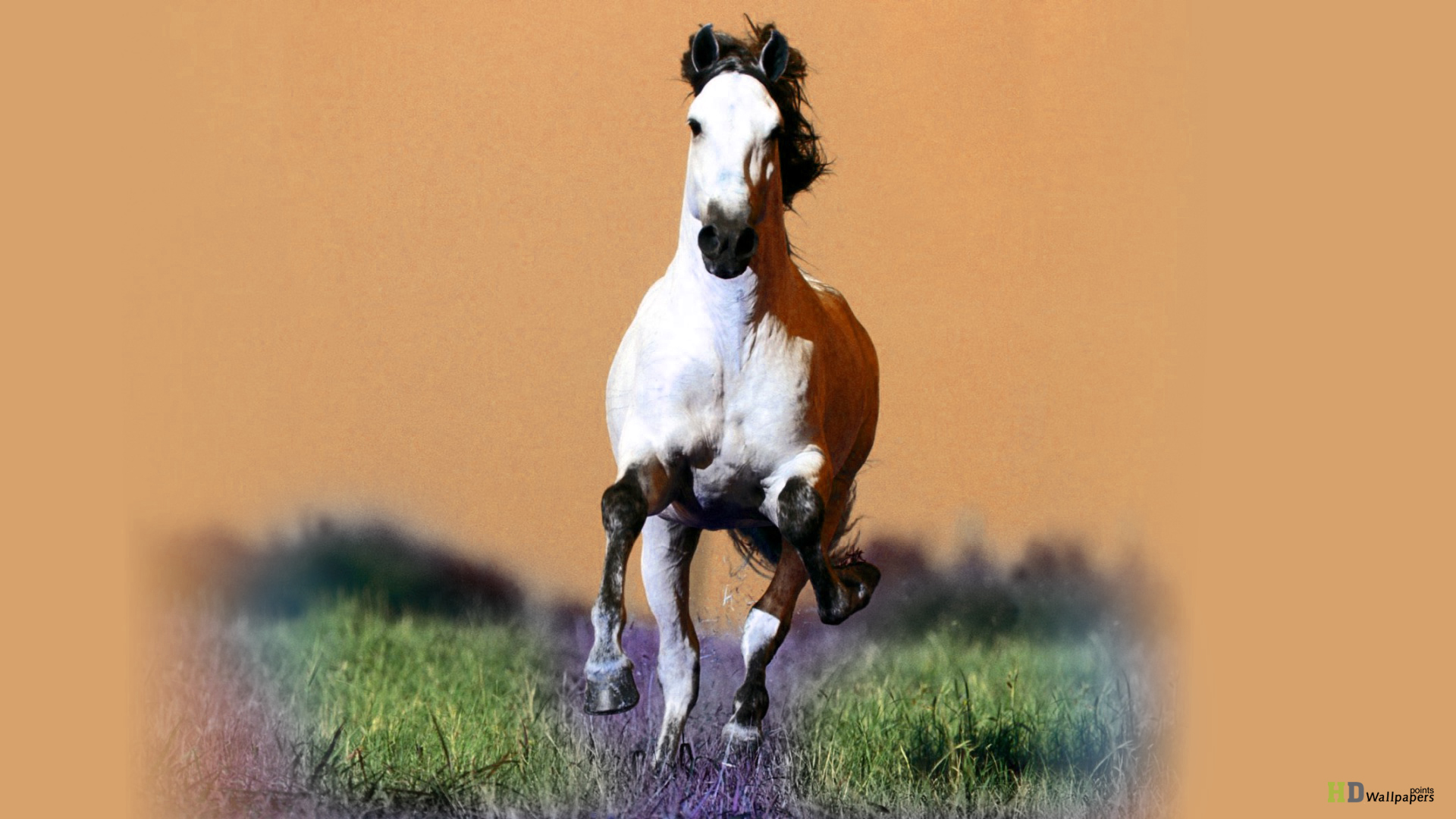 Running Horse Statue HD Wallpaper