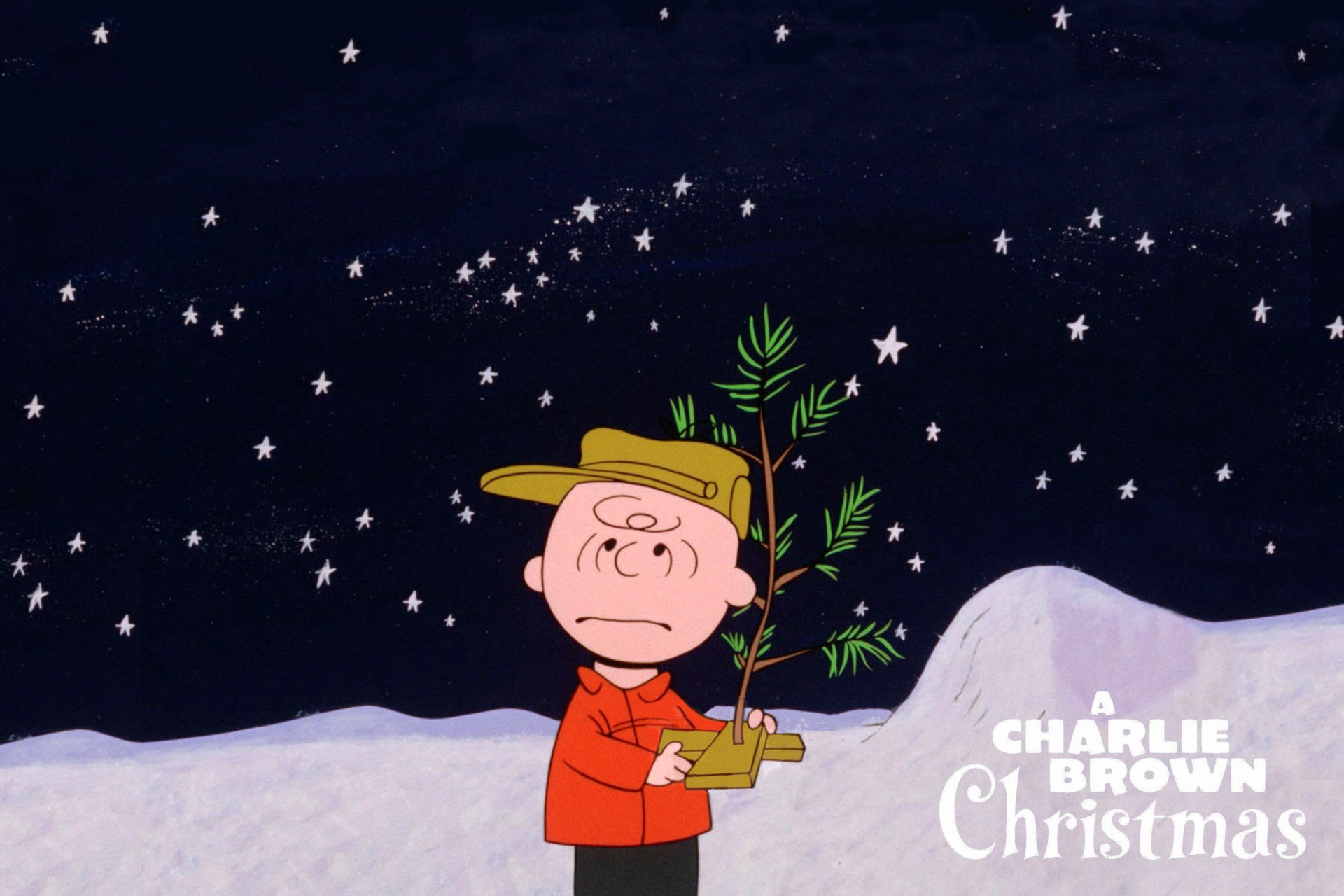 Charlie Brown Christmas Wallpaper Grasscloth