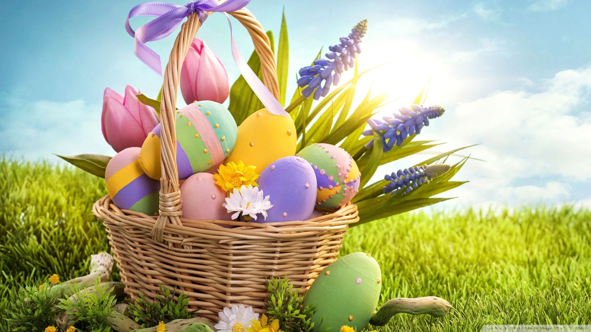 Easter Eggs HD Wallpaper Collection