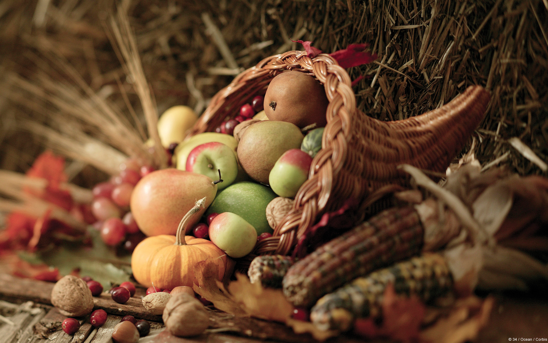 Festive Thanksgiving Themes Desktop Wallpaper