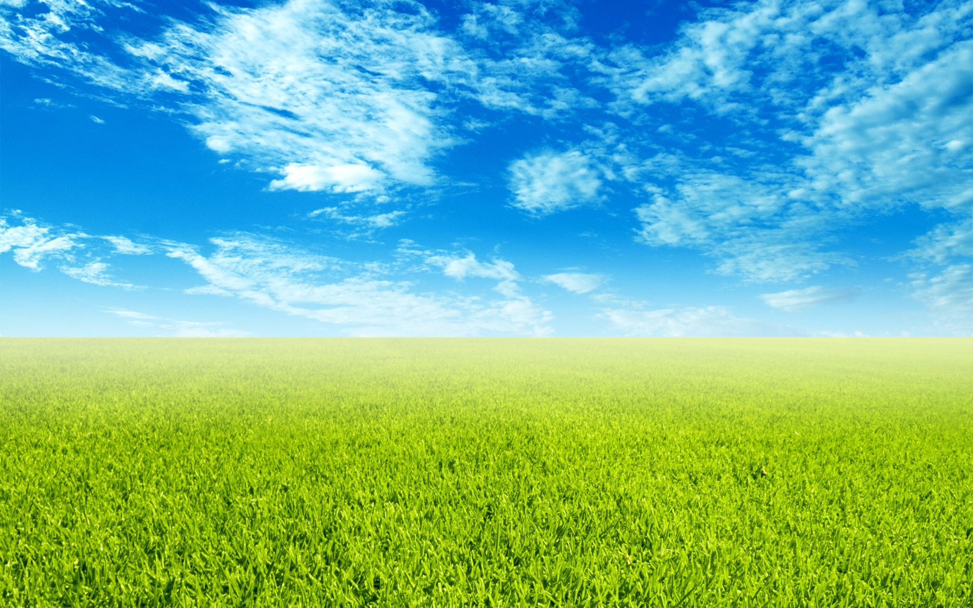 Blue Sky Grass Fresh And Pleasant Countryside Wallpaper