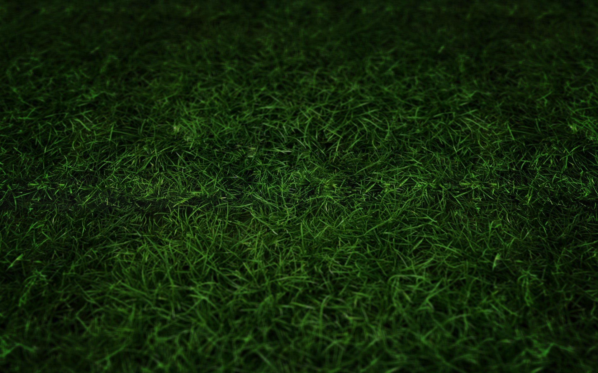 File Name 822784 High Quality Grass Wallpaper Full HD Pictures