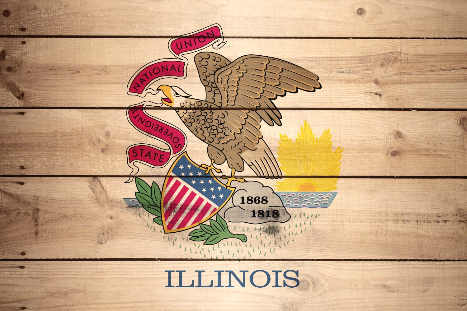 Flag Of Illinois Wood Texture It For