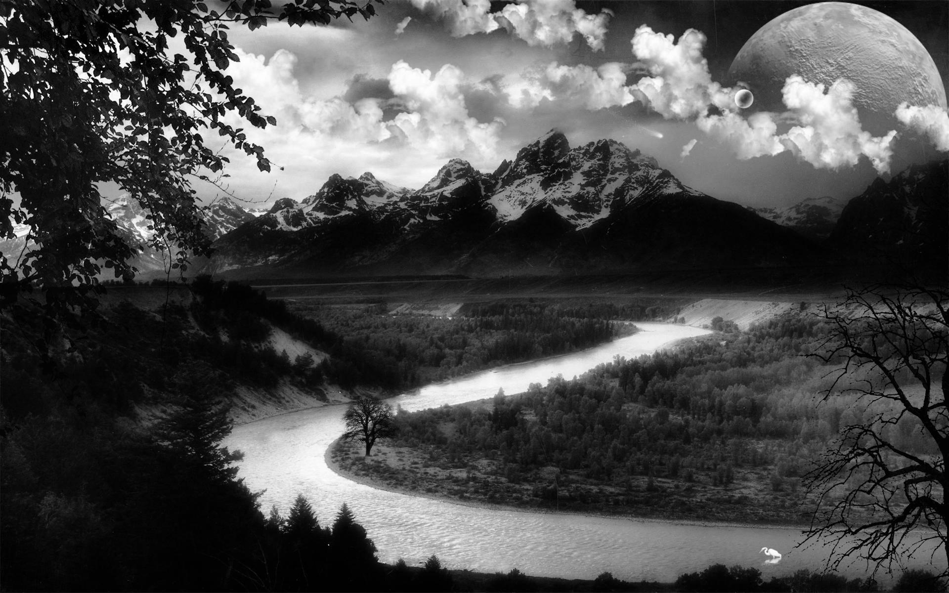 100 Black And White Nature Wallpapers WallpaperSafari 100 Black And White Nature Wallpapers WallpaperSafari