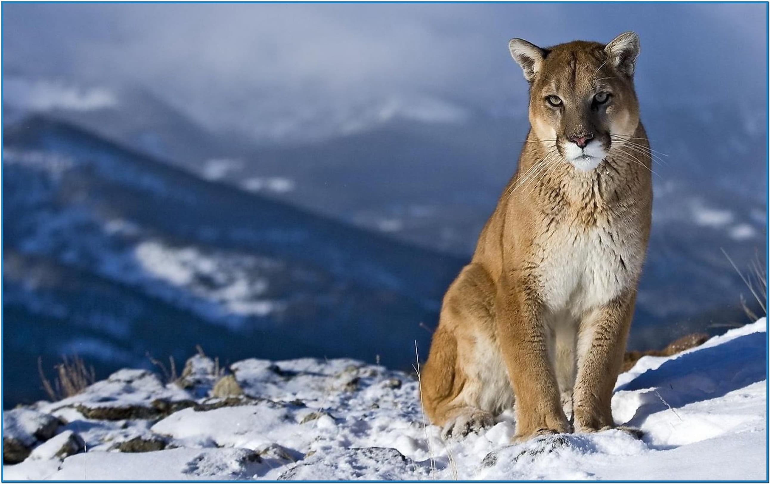 Screensaver Mac Os Mountain Lion