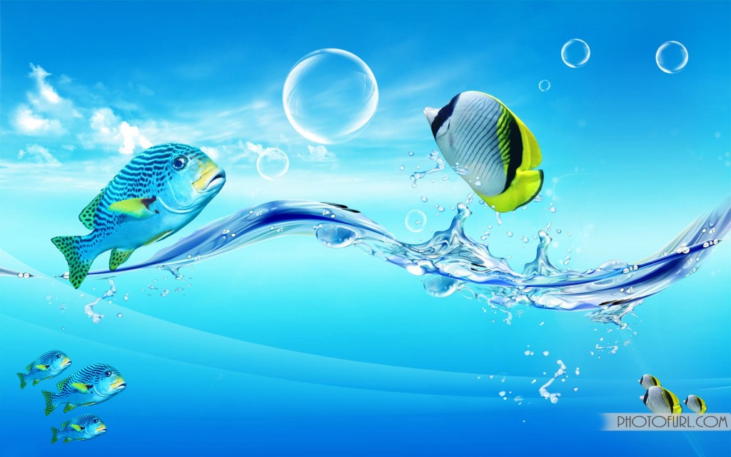 Tropical Fish Wallpaper For High Resolution Desktop Background
