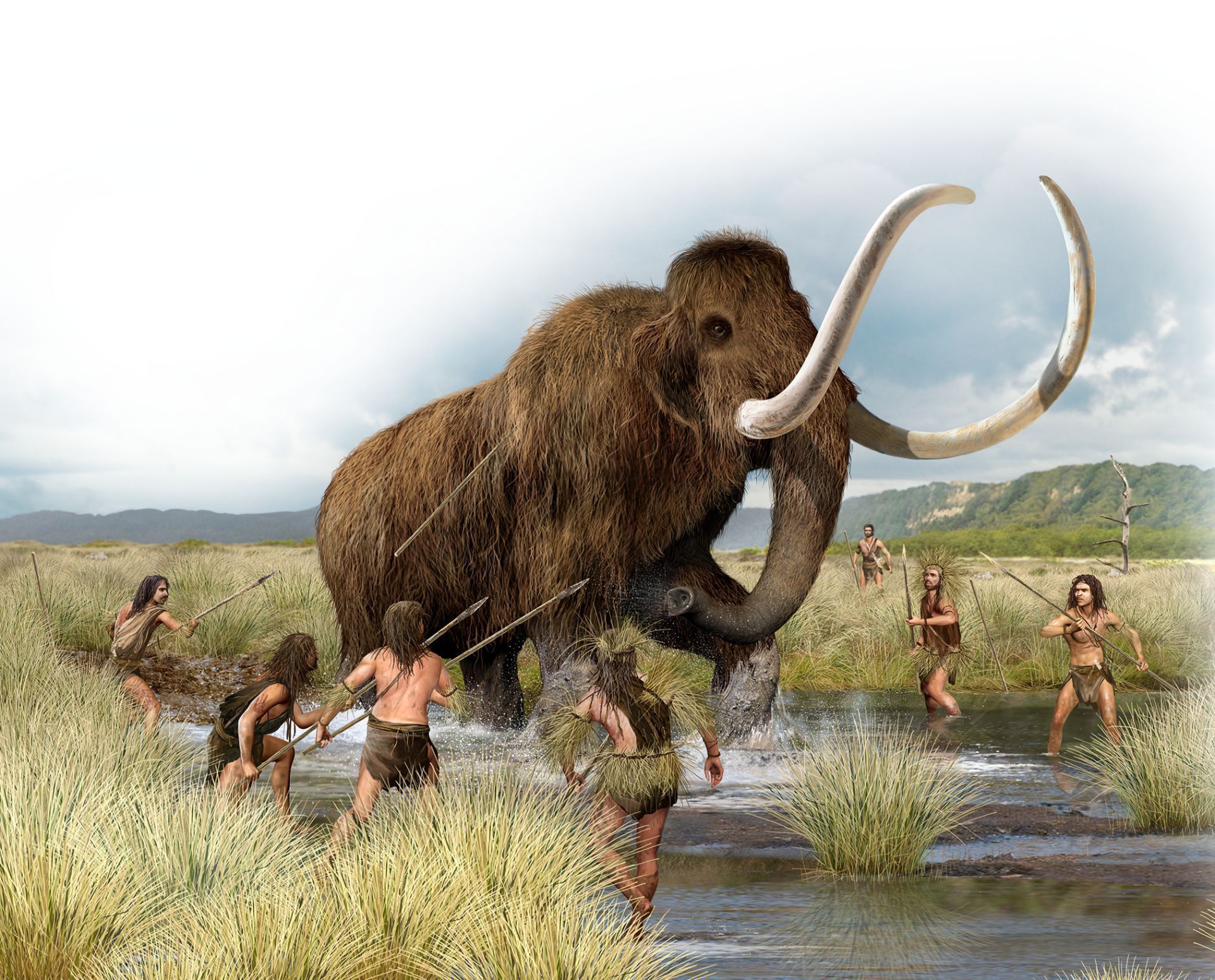 Mammoth HD Wallpaper Image Background