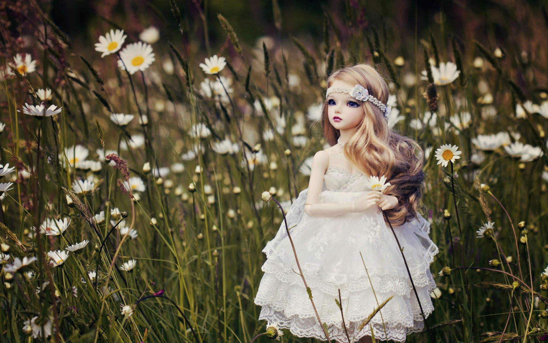 Doll Background Wallpaper