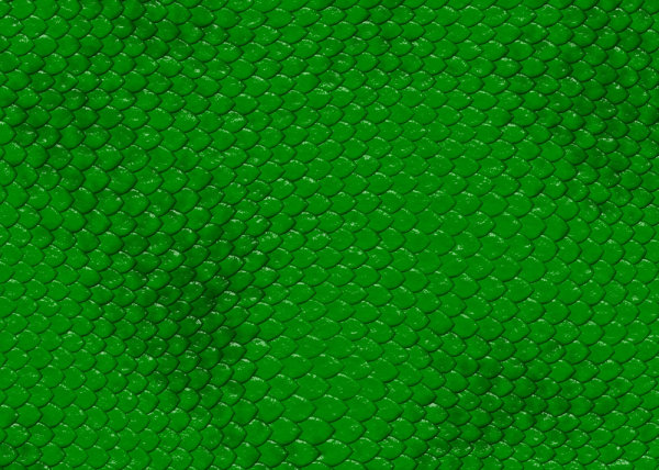 Snakeskin Texture Background Scales Bump HD