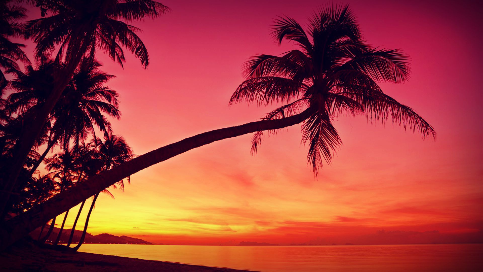 Free download HD Tropical Sunset Palm Trees Silhouette Beach Wallpapers HD  1920x1080 for your Desktop Mobile  Tablet  Explore 32 Tropical  Sunsets Wallpapers  Beach Sunsets Wallpaper Summer Sunsets Wallpaper  Ocean Sunsets Wallpaper