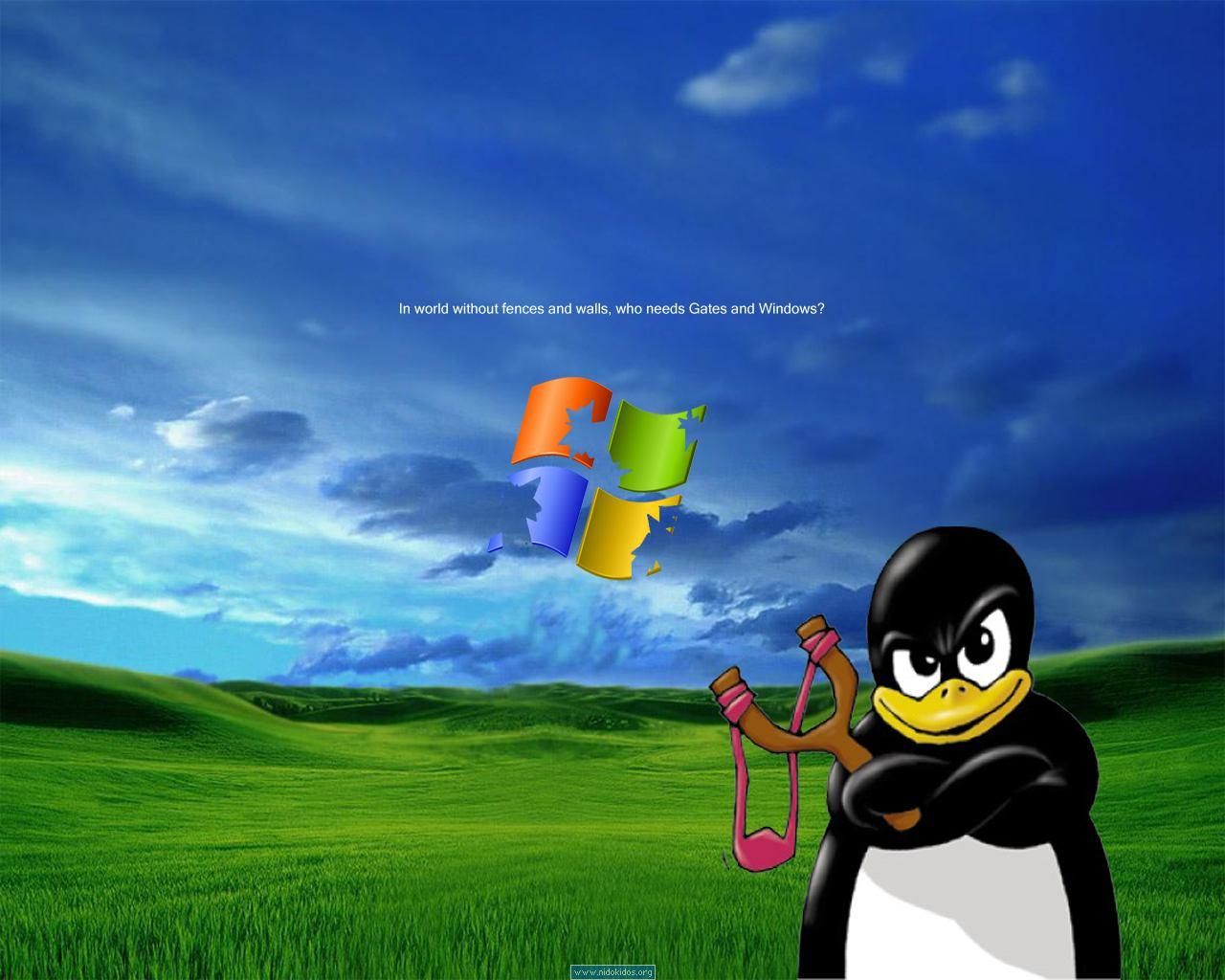 A Tribute To Terrible Old Linux Wallpaper Beautiful Nature