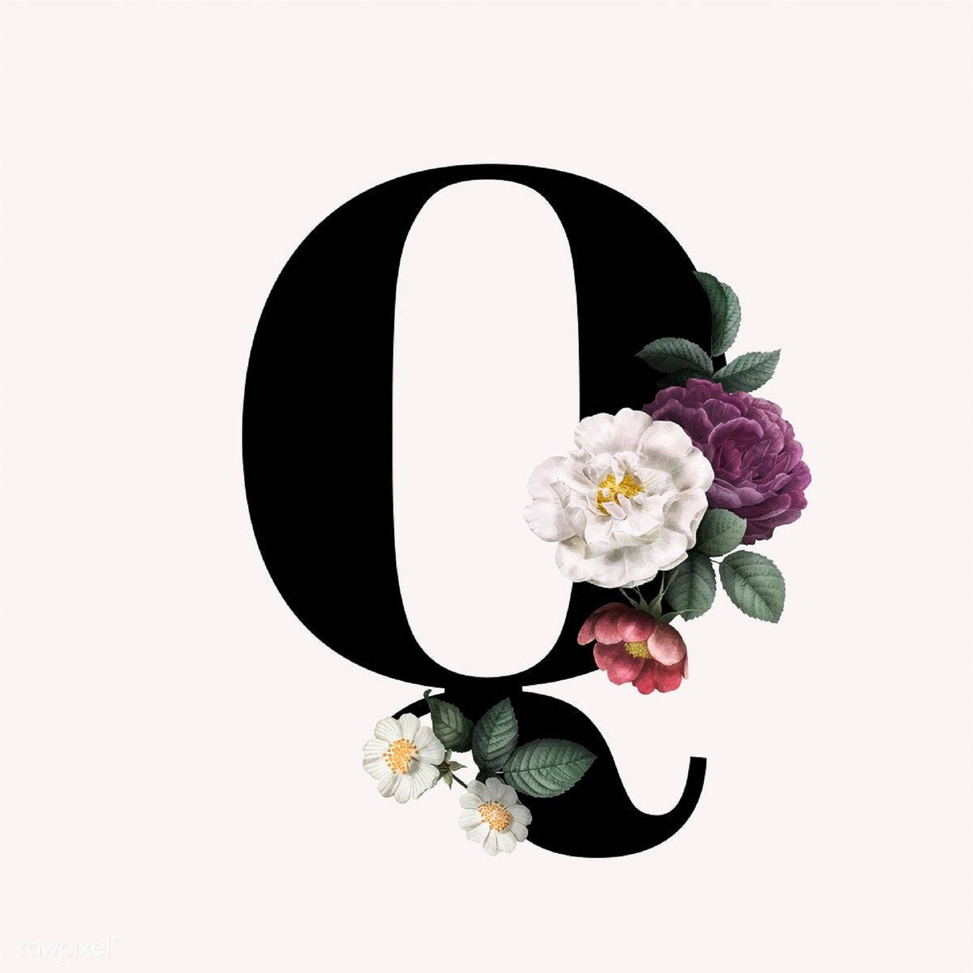 Q Wallpaper S