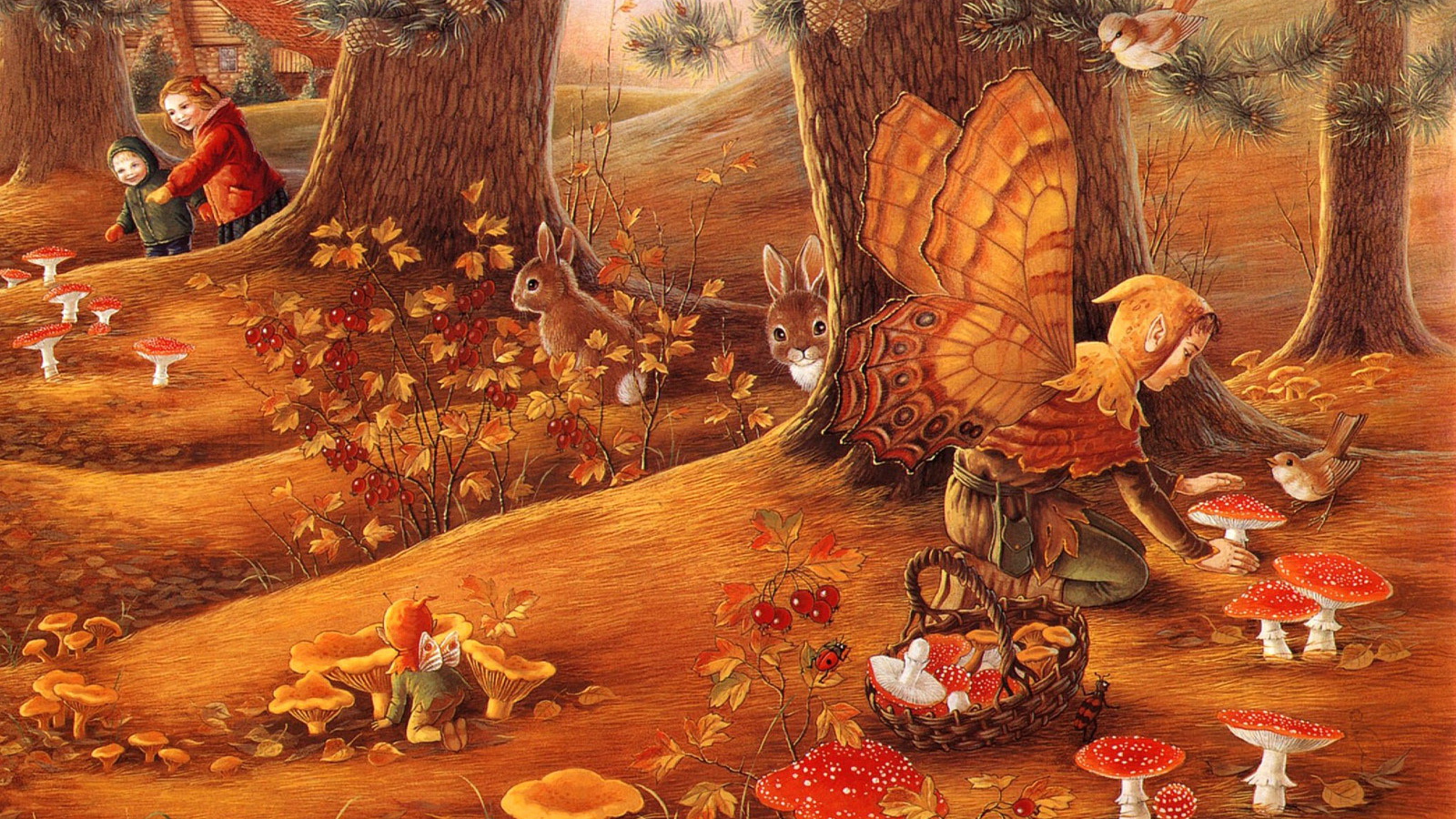 Funny Mushrooms Desktop Wallpaper