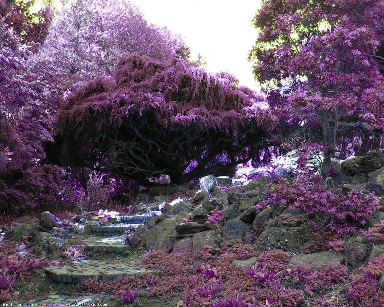 Nature Springtime Free Desktop Wallpapers for PC Mac