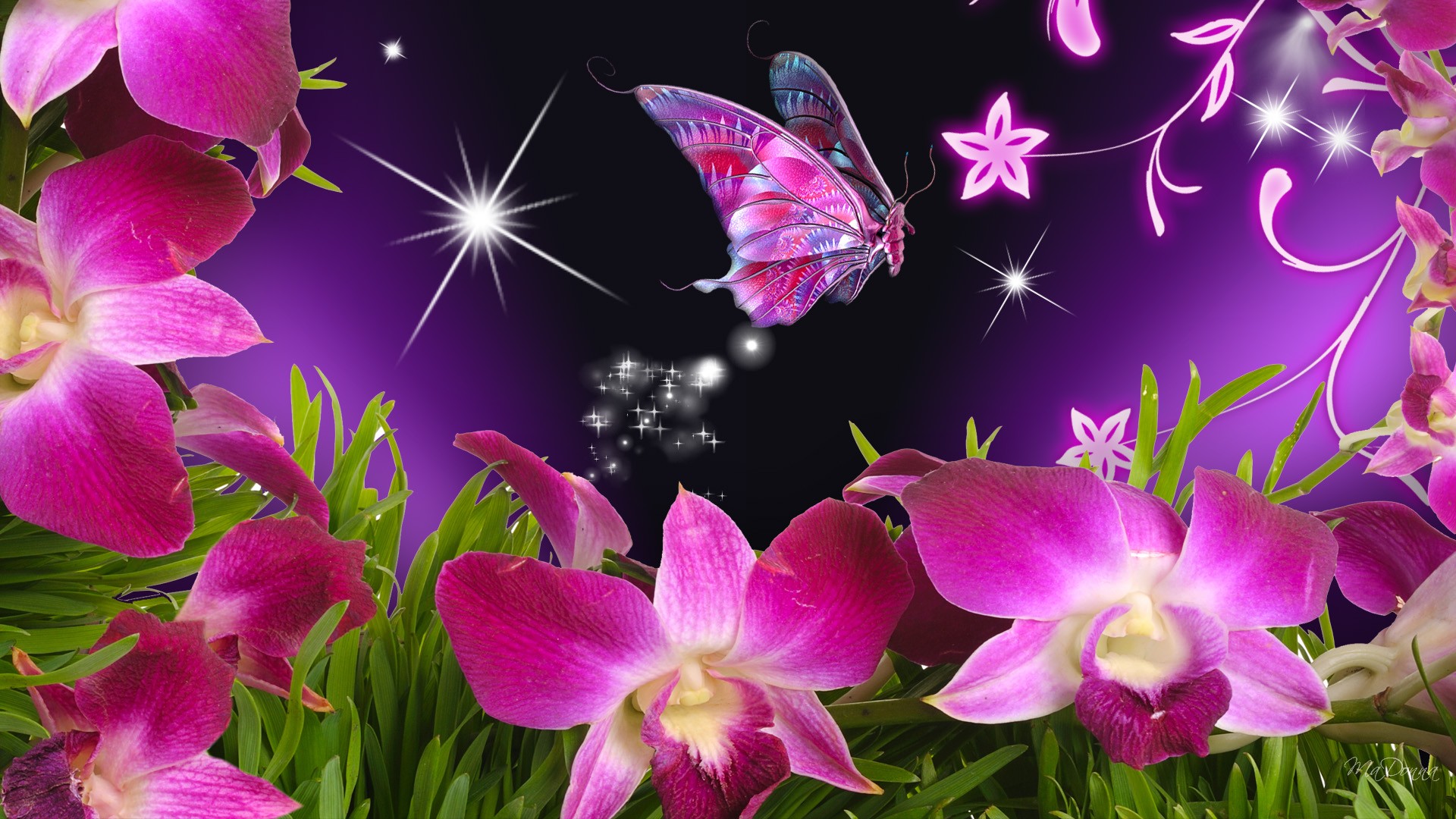orchideen pink Vektorgrafik