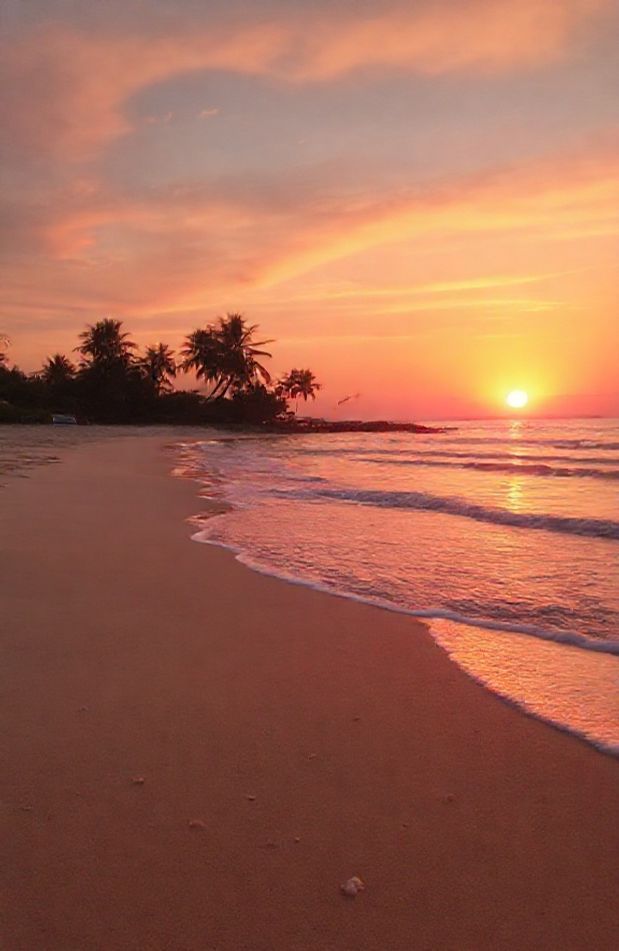 Beach Wallpaper Hd