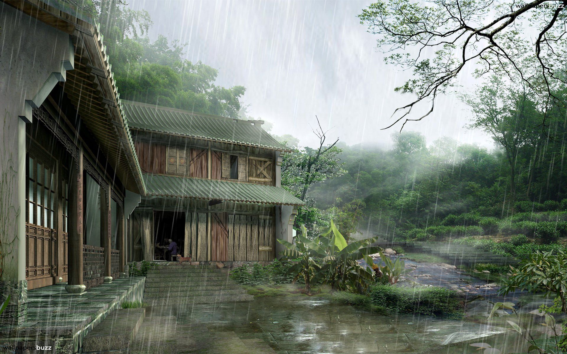 Beautiful Rainy Day HD Image All Wallpaper In