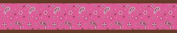 Cowgirl Western Wallpaper Border For Girls Bandana Pink Brown Paisley
