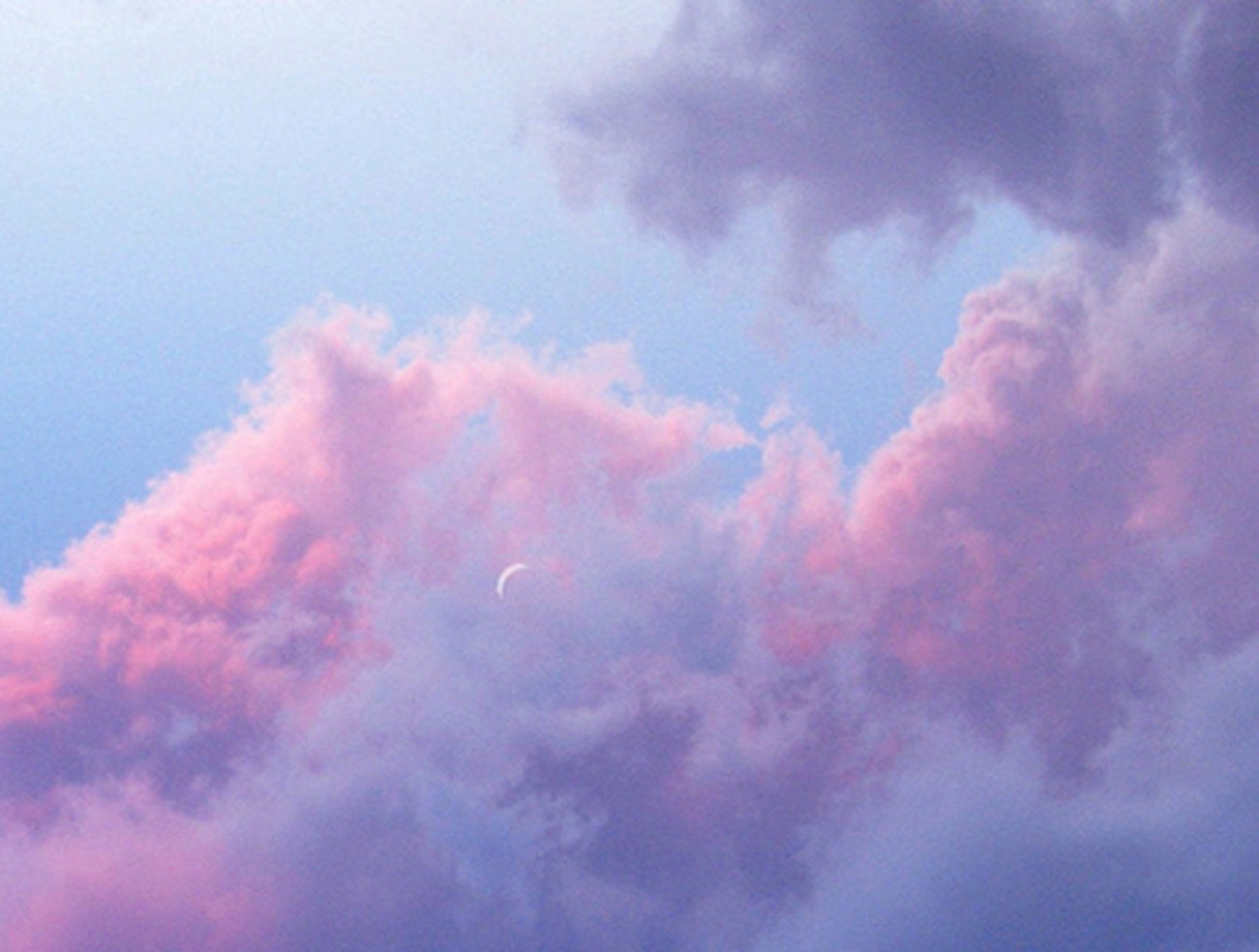 Cute Aesthetic Wallpaper