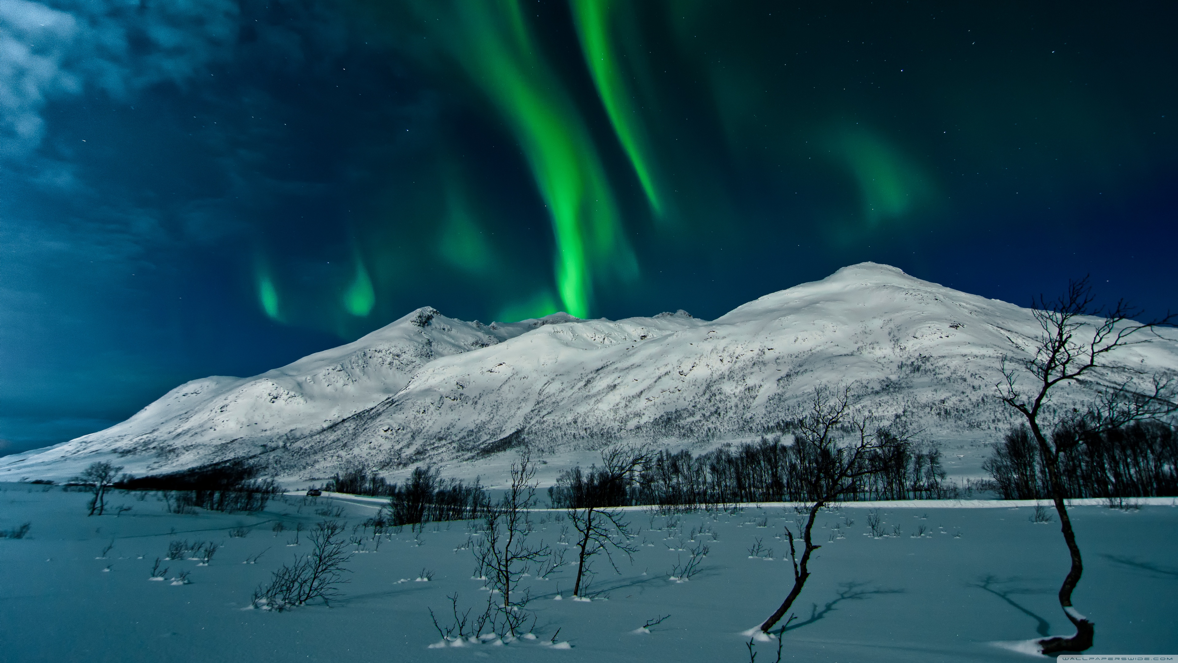 Aurora Borealis Tromso Norway Ultra HD Desktop Background