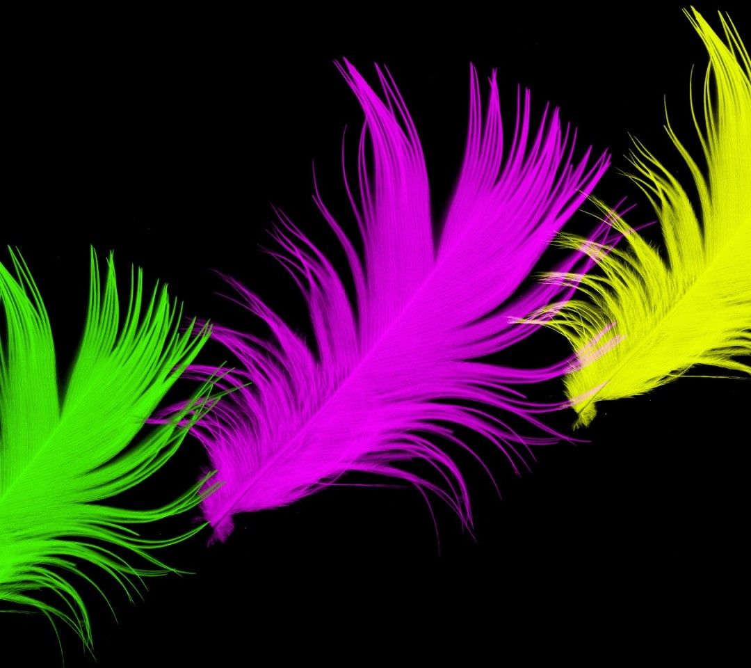 Bright Neon Colors Feathers Color
