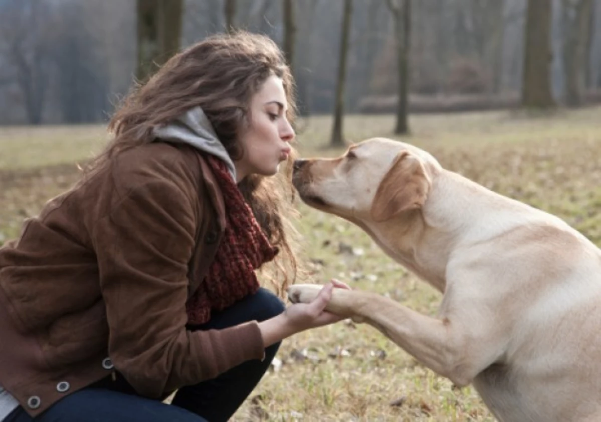 One In Ten Women Love Their Pet More Than Mate Wallpaper
