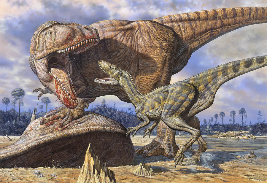 Male Tyrant King T Rex Vs Carcharodontosaurus
