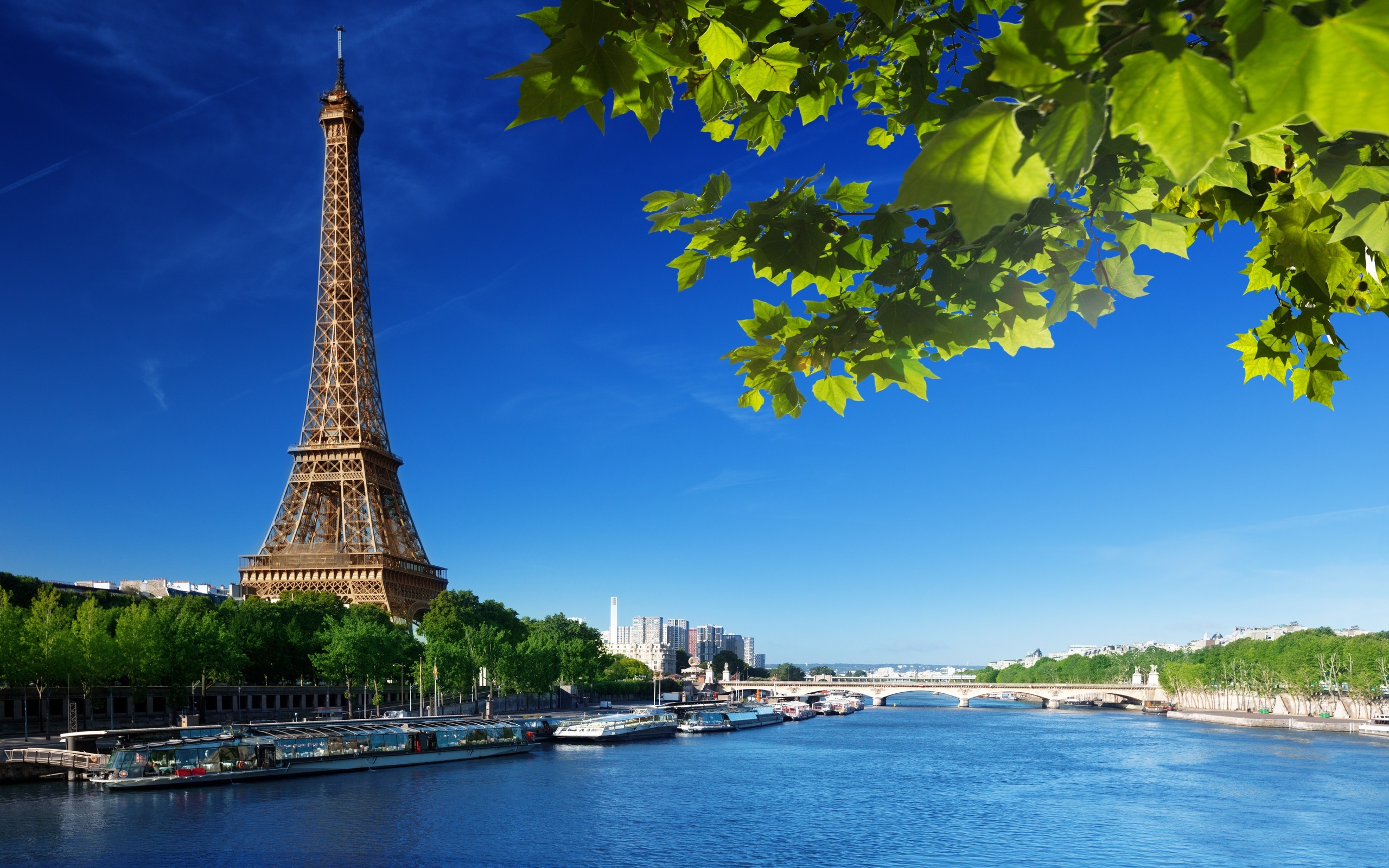 Eiffel Tower Puter Wallpaper Desktop Background Id
